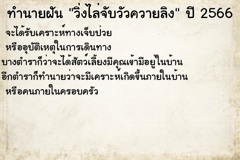ทำนายฝัน วิ่งไล่จับวัวควายลิง ทำนายฝัน วิ่งไล่จับวัวควายลิง