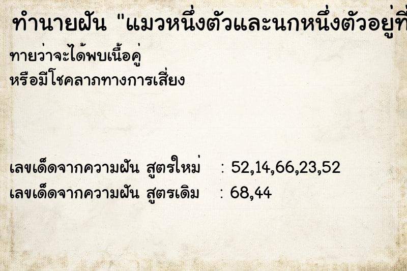 ทำนายฝัน แมวหนึ่งตัวและนกหนึ่งตัวอยู่ที่โต๊ะกินข้าวในบ้าน