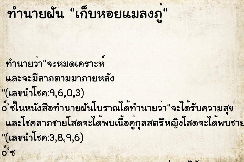 ทำนายฝันทำนายฝันเก็บหอยแมลงภู่
