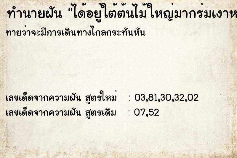 ทำนายฝันได้อยู่ใต้ต้นไม้ใหญ่มากร่มเงาหนาทึบ ทำนายฝันทำนายฝันได้อยู่ใต้ต้นไม้ใหญ่มากร่มเงาหนาทึบ