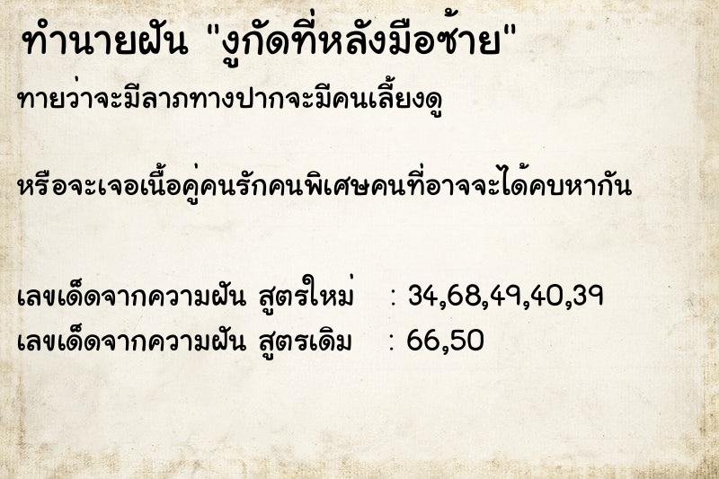 ทำนายฝันทำนายฝันงูกัดที่หลังมือซ้าย