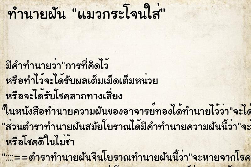 ทำนายฝัน แมวกระโจนใส่ ตำราโบราณ แม่นที่สุดในโลก