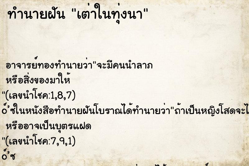 ทำนายฝัน เต่าในทุ่งนา ทำนายฝัน เต่าในทุ่งนา