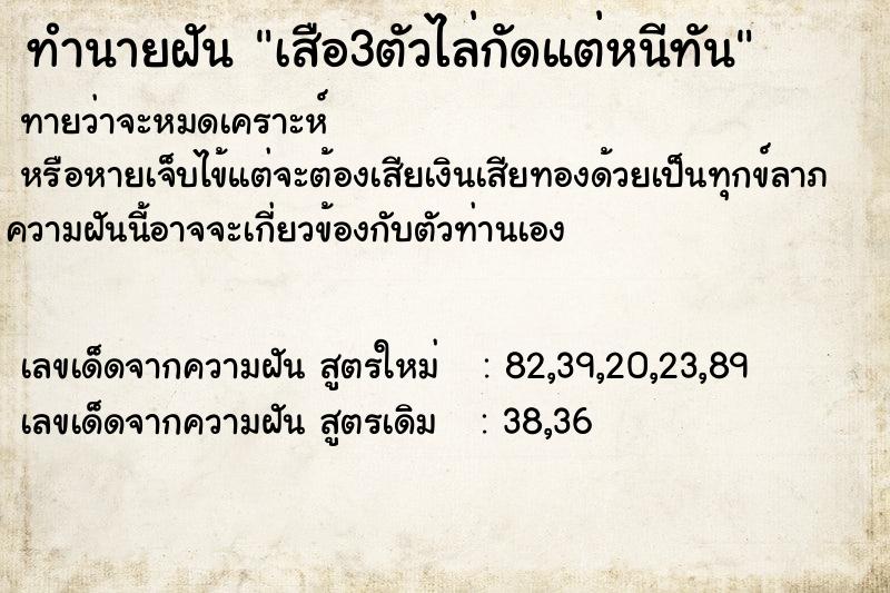 ทำนายฝันทำนายฝันเสือ3ตัวไล่กัดแต่หนีทัน