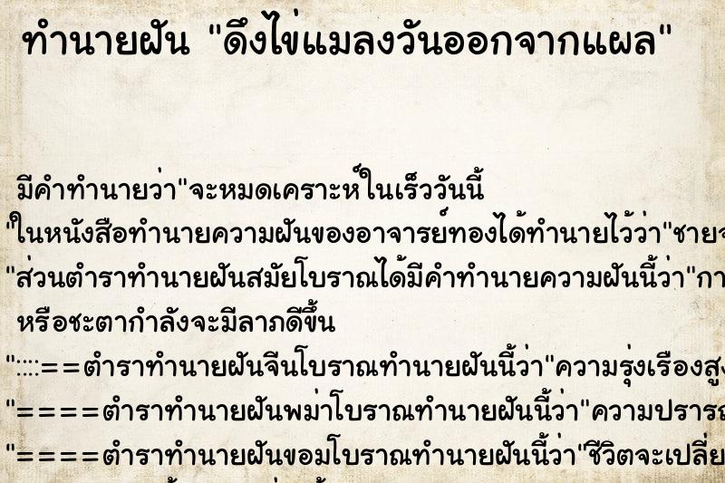 ทำนายฝัน ดึงไข่แมลงวันออกจากแผล