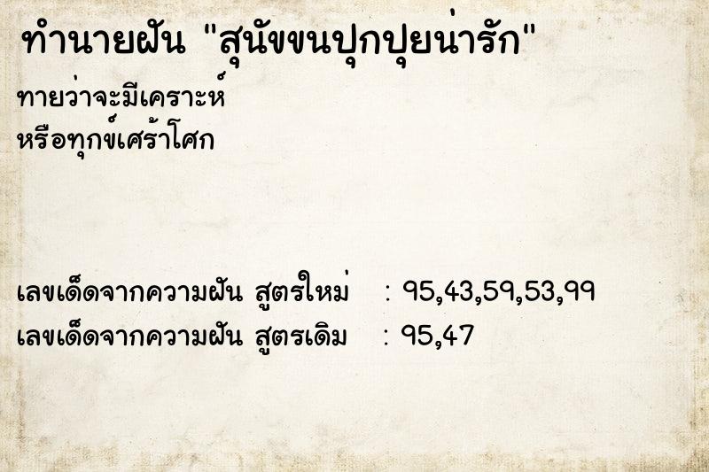 ทำนายฝันทำนายฝันสุนัขขนปุกปุยน่ารัก