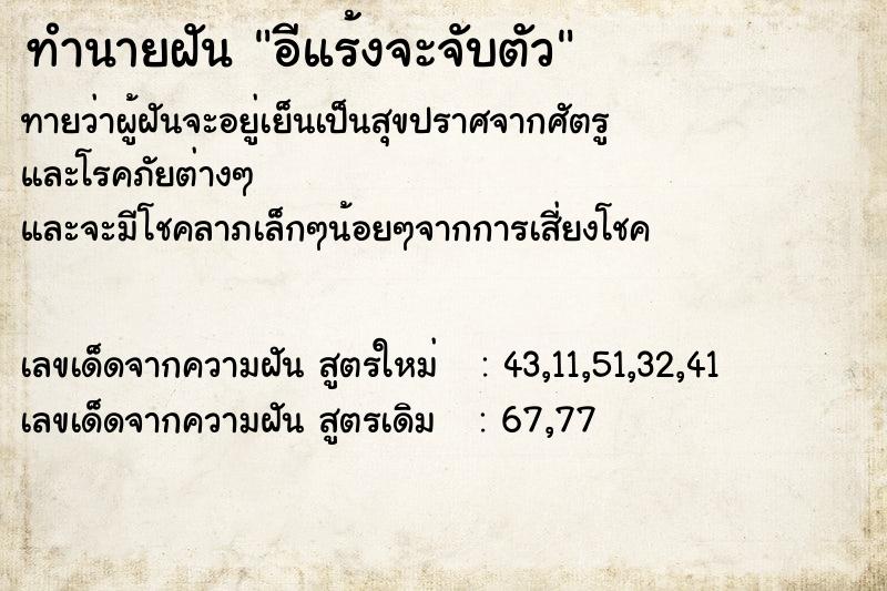 ทำนายฝันอีแร้งจะจับตัว ทำนายฝันทำนายฝันอีแร้งจะจับตัว
