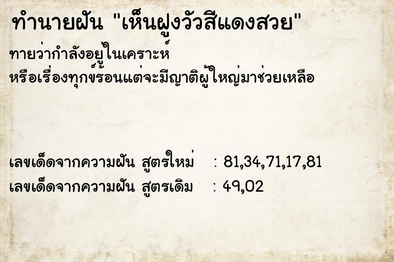 ทำนายฝันเห็นฝูงวัวสีแดงสวย ทำนายฝันทำนายฝันเห็นฝูงวัวสีแดงสวย