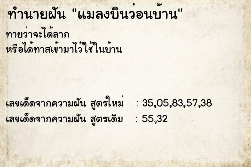 ทำนายฝันทำนายฝันแมลงบินว่อนบ้าน