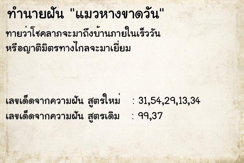 ทำนายฝันทำนายฝันแมวหางขาดวัน