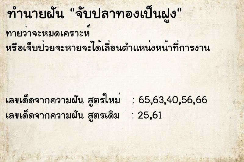 ทำนายฝันทำนายฝันจับปลาทองเป็นฝูง