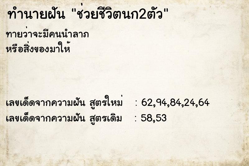 ทำนายฝันทำนายฝันช่วยชีวิตนก2ตัว