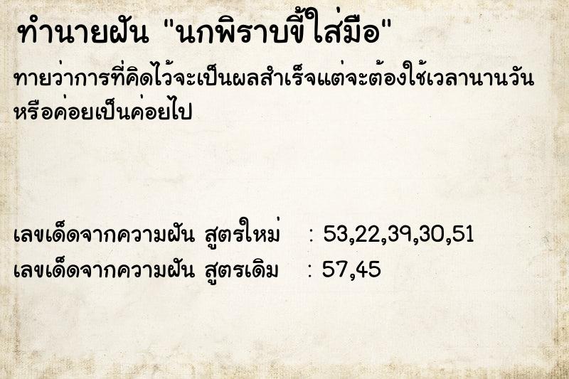 ทำนายฝันนกพิราบขี้ใส่มืิอ ทำนายฝันทำนายฝันนกพิราบขี้ใส่มืิอ