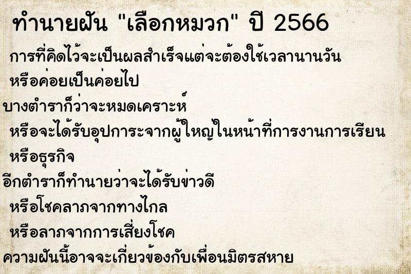 ทำนายฝันเลือกหมวก ทำนายฝันทำนายฝันเลือกหมวก