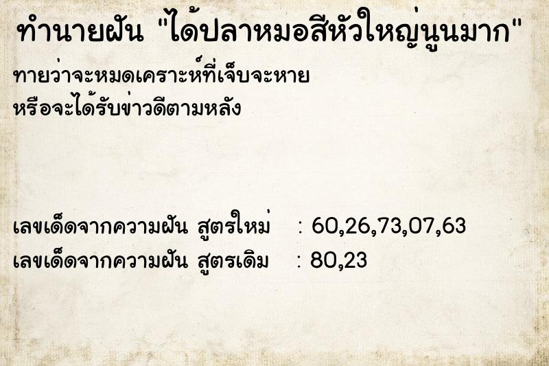 ทำนายฝันทำนายฝันได้ปลาหมอสีหัวใหญ่นูนมาก