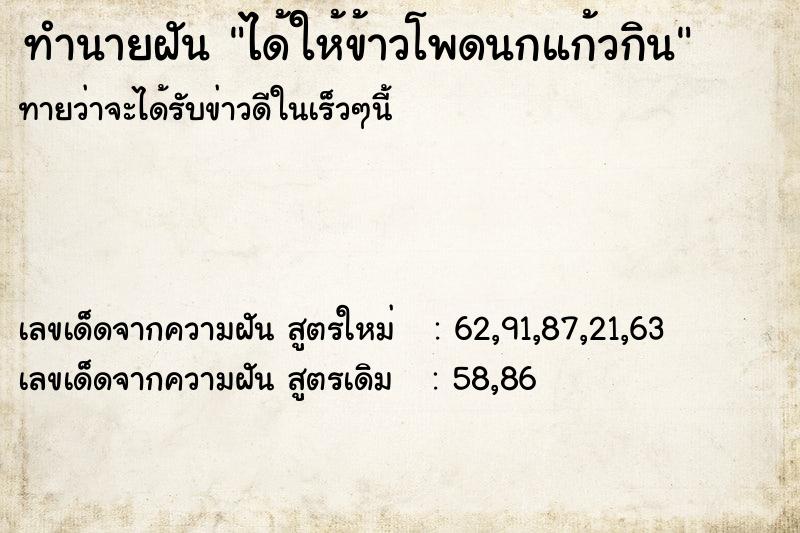 ทำนายฝัน ได้ให้ข้าวโพดนกแก้วกิน ทำนายฝัน ได้ให้ข้าวโพดนกแก้วกิน