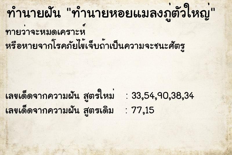 ทำนายฝันทำนายฝันทำนายหอยแมลงภู่ตัวใหญ่