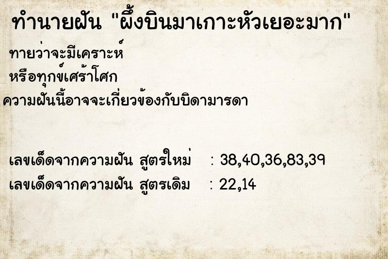 ทำนายฝันทำนายฝันผึ้งบินมาเกาะหัวเยอะมาก