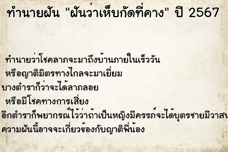 ทำนายฝันทำนายฝันฝันว่าเห็บกัดที่คาง