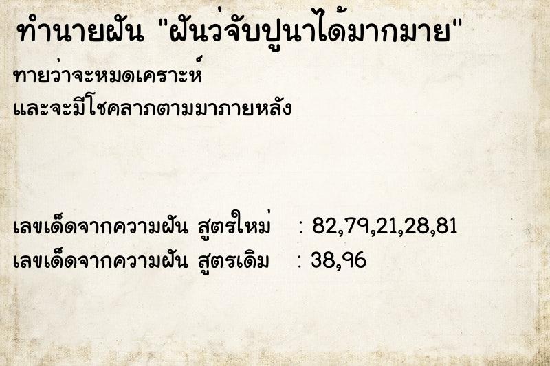 ทำนายฝันฝันว่่จับปูนาได้มากมาย ทำนายฝันทำนายฝันฝันว่่จับปูนาได้มากมาย