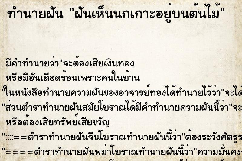 ทำนายฝัน ฝันเห็นนกเกาะอยู่บนต้นไม้ ทำนายฝัน ฝันเห็นนกเกาะอยู่บนต้นไม้