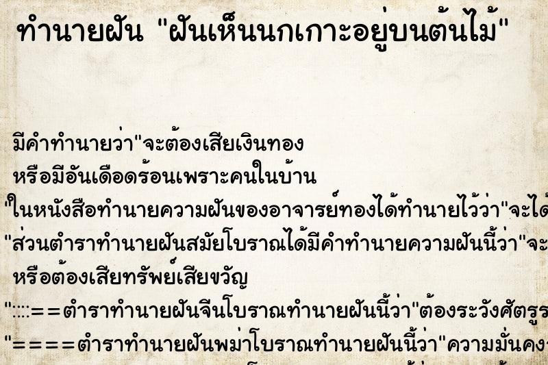 ทำนายฝัน ฝันเห็นนกเกาะอยู่บนต้นไม้ ตำราโบราณ แม่นที่สุดในโลก