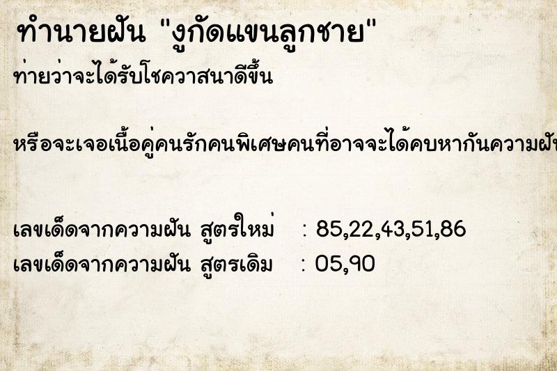 ทำนายฝันงูกัดแขนลูกชาย ทำนายฝันทำนายฝันงูกัดแขนลูกชาย