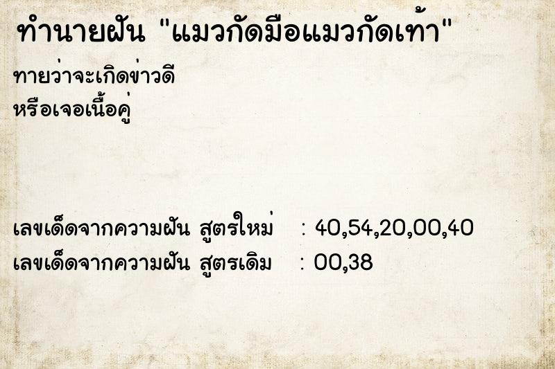 ทำนายฝันแมวกัดมือแมวกัดเท้า ทำนายฝันทำนายฝันแมวกัดมือแมวกัดเท้า