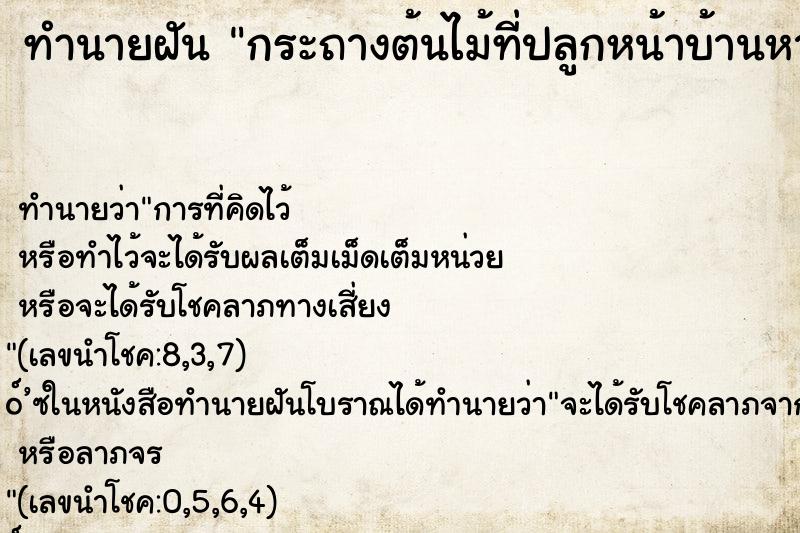 ทำนายฝัน กระถางต้นไม้ที่ปลูกหน้าบ้านหาย ตำราโบราณ แม่นที่สุดในโลก