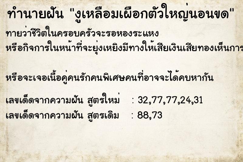 ทำนายฝันงูเหลือมเผือกตัวใหญ่นอนขด ทำนายฝันทำนายฝันงูเหลือมเผือกตัวใหญ่นอนขด