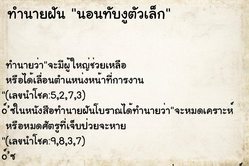 ทำนายฝัน นอนทับงูตัวเล็ก ทำนายฝัน นอนทับงูตัวเล็ก