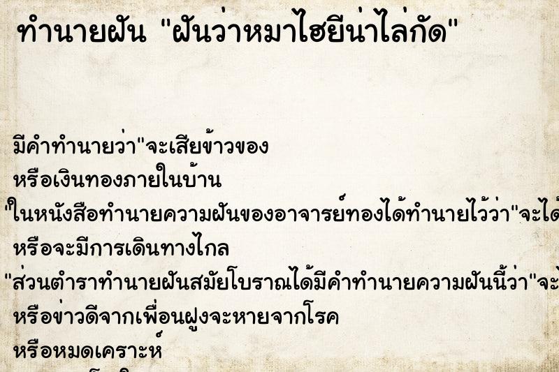 ทำนายฝัน ฝันว่าหมาไฮยีน่าไล่กัด ทำนายฝัน ฝันว่าหมาไฮยีน่าไล่กัด