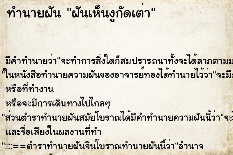 ทำนายฝัน ฝันเห็นงูกัดเต่า ตำราโบราณ แม่นที่สุดในโลก