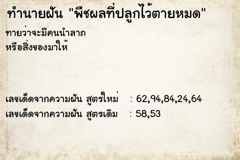 ทำนายฝันทำนายฝันพืชผลที่ปลูกไว้ตายหมด
