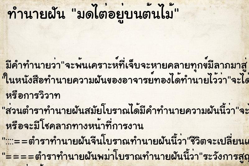 ทำนายฝัน มดไต่อยู่บนต้นไม้ ทำนายฝัน มดไต่อยู่บนต้นไม้