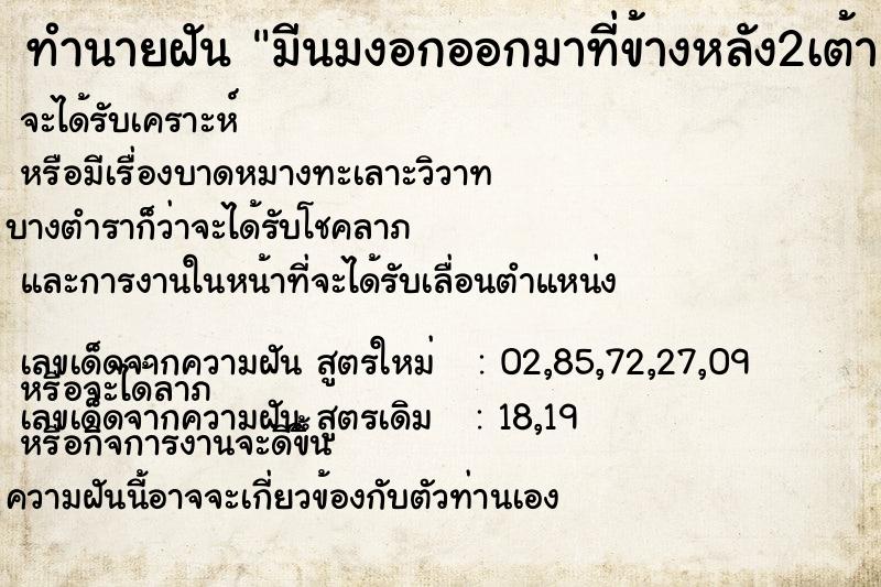 ทำนายฝัน มีนมงอกออกมาที่ข้างหลัง2เต้า ทำนายฝัน มีนมงอกออกมาที่ข้างหลัง2เต้า