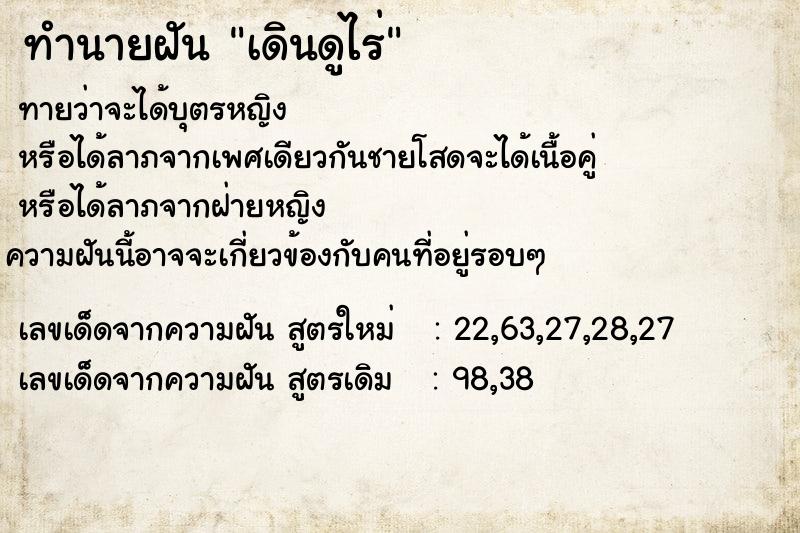 ทำนายฝันเดินดูไร่ ทำนายฝันทำนายฝันเดินดูไร่