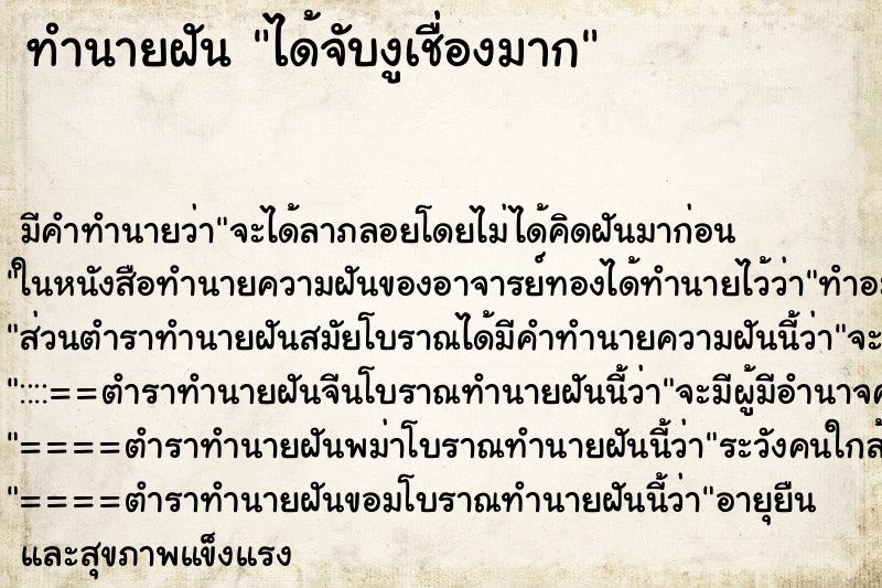 ทำนายฝันได้จับงูเชื่องมาก ทำนายฝันทำนายฝันได้จับงูเชื่องมาก