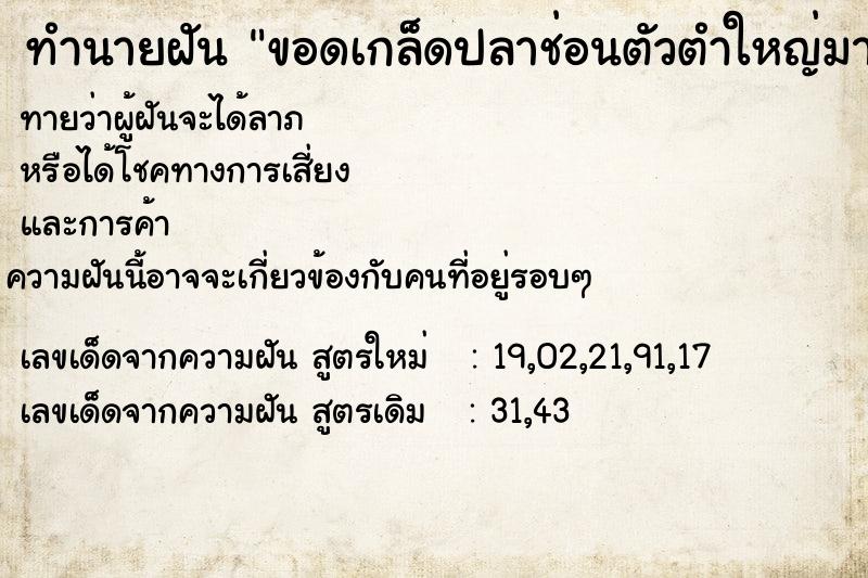 ทำนายฝันขอดเกล็ดปลาช่อนตัวตำใหญ่มาก ทำนายฝันทำนายฝันขอดเกล็ดปลาช่อนตัวตำใหญ่มาก