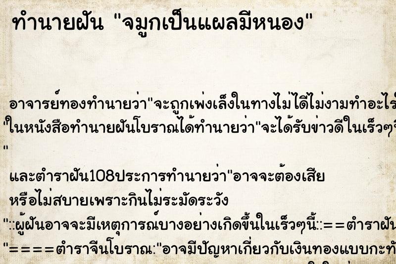ทำนายฝัน จมูกเป็นแผลมีหนอง