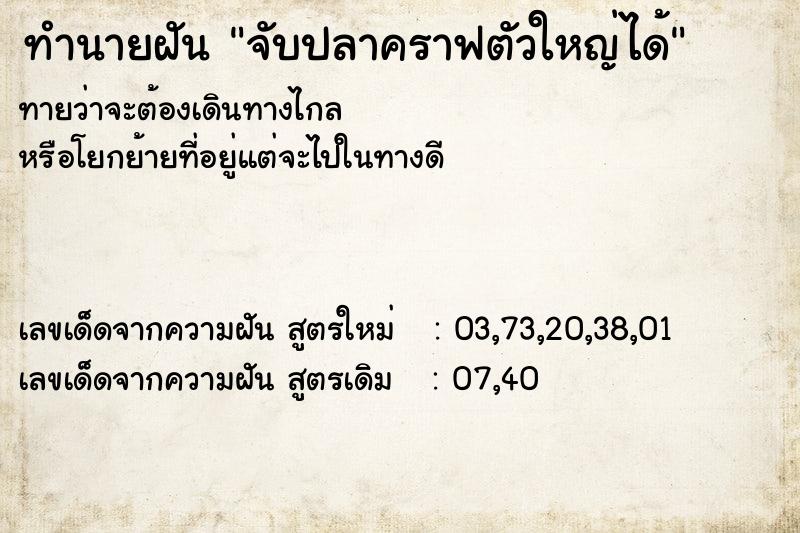 ทำนายฝันทำนายฝันจับปลาคราฟตัวใหญ่ได้