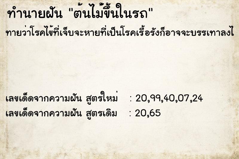 ทำนายฝันต้นไม่้ขึ้นในรถ ทำนายฝันทำนายฝันต้นไม่้ขึ้นในรถ