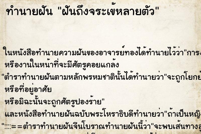 ทำนายฝันทำนายฝันฝันถึงจระเข้หลายตัว
