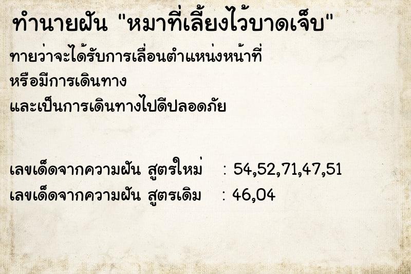 ทำนายฝันหมาที่เลี้ยงไว้บาดเจ็บ ทำนายฝันทำนายฝันหมาที่เลี้ยงไว้บาดเจ็บ