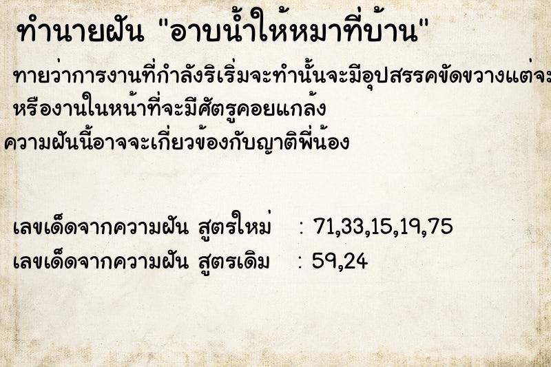 ทำนายฝันอาบน้ำให้หมาที่บ้าน ทำนายฝันทำนายฝันอาบน้ำให้หมาที่บ้าน