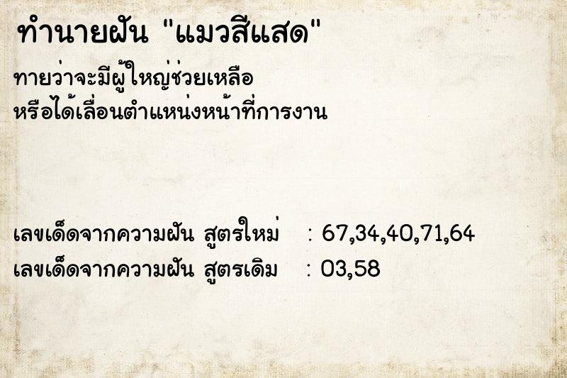 ทำนายฝันทำนายฝันแมวสีแสด