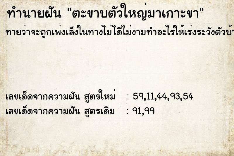 ทำนายฝันทำนายฝันตะขาบตัวใหญ่มาเกาะขา