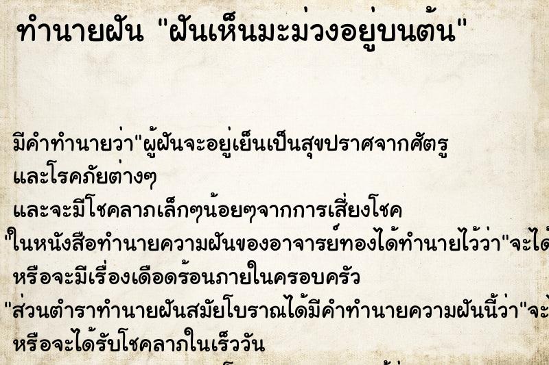 ทำนายฝัน ฝันเห็นมะม่วงอยู่บนต้น ทำนายฝัน ฝันเห็นมะม่วงอยู่บนต้น