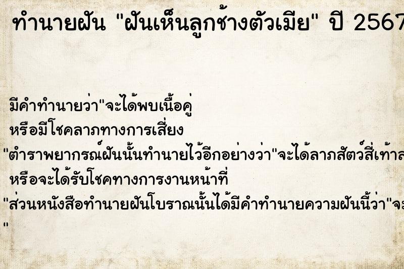 ทำนายฝันทำนายฝันฝันเห็นลูกช้างตัวเมีย