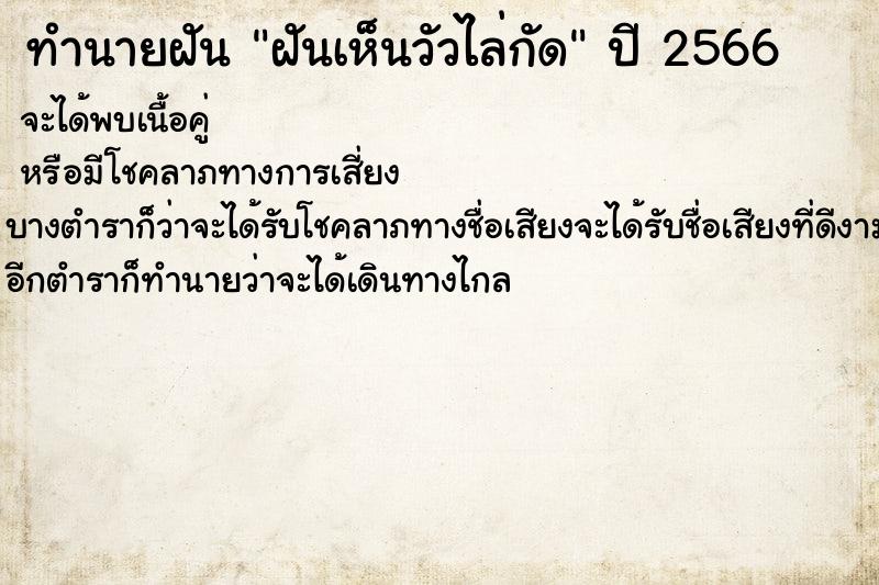 ทำนายฝันทำนายฝันฝันเห็นวัวไล่กัด